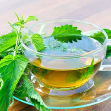 نحوه استفاده از برگ گزنه