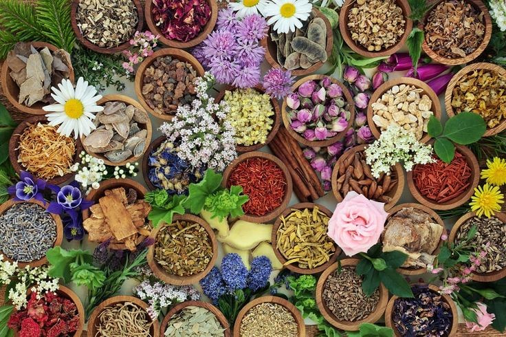 نسخه های درمانی (نازایی، کمبود نطفه، قاعدگی دردناک، زیاد شدن شیر، کیست های تخمدان، بزرگی پروستات)