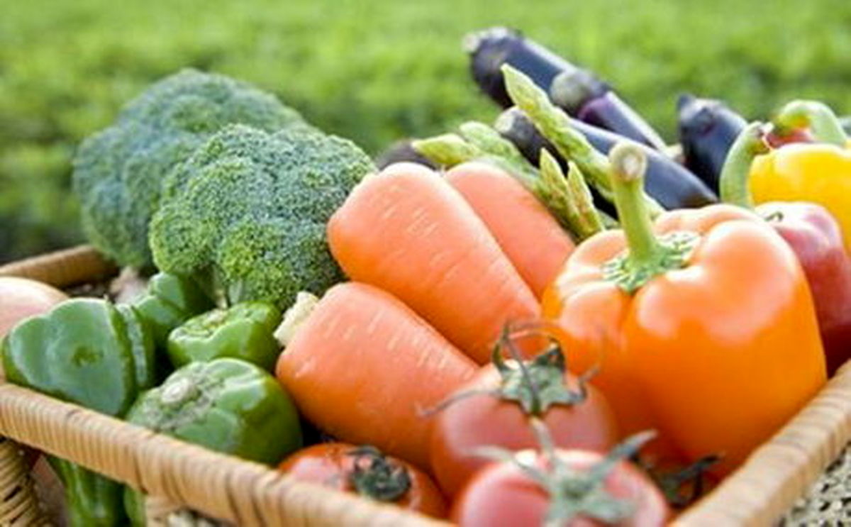 چگونه غذای خودمان را پرورش دهیم