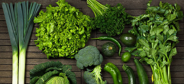 غذای خودمان را پرورش دهیم - رشد در گلدان