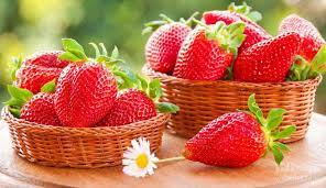 شخم زدن  و اصلاح خاک