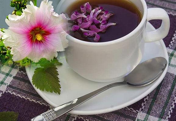 چگونه گل ختمی دارویی پرورش دهیم؟