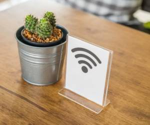 گیاهان آپارتمانی جاذب امواج