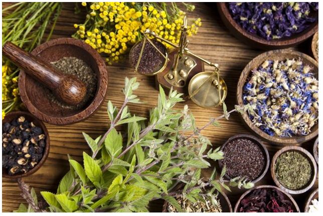 همه چیز در مورد گیاهان دارویی 
