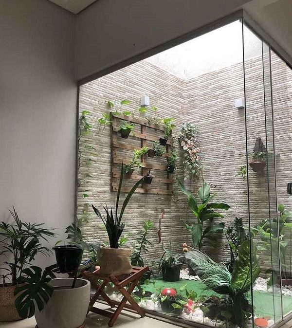 مناسب ترین گیاهان برای پاسیو