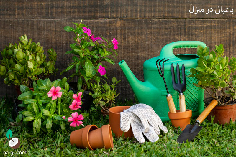 باغبانی در منزل