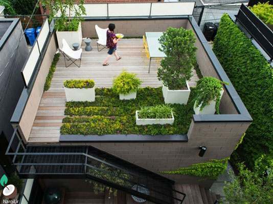 فضای سبز پشت بام - روف گاردن