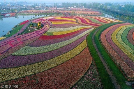 صنعت گل در چین