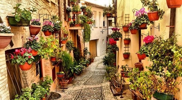 صنعت گل ایتالیا