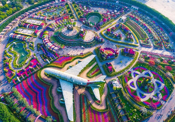 معرفی پارک میراکل گاردن دبی: بهشت گل ها در دل صحرای امارات