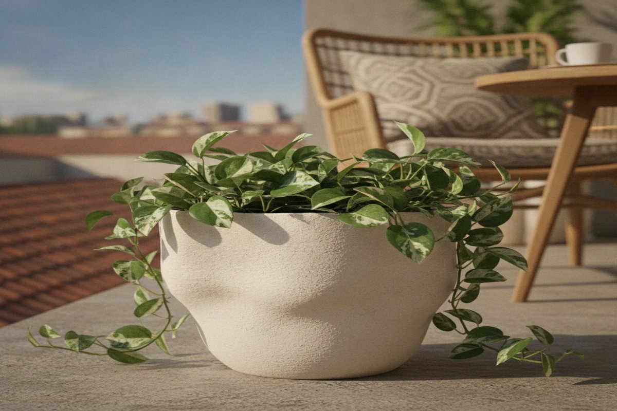 پتوس انجوی در یک بالکن سوییسی