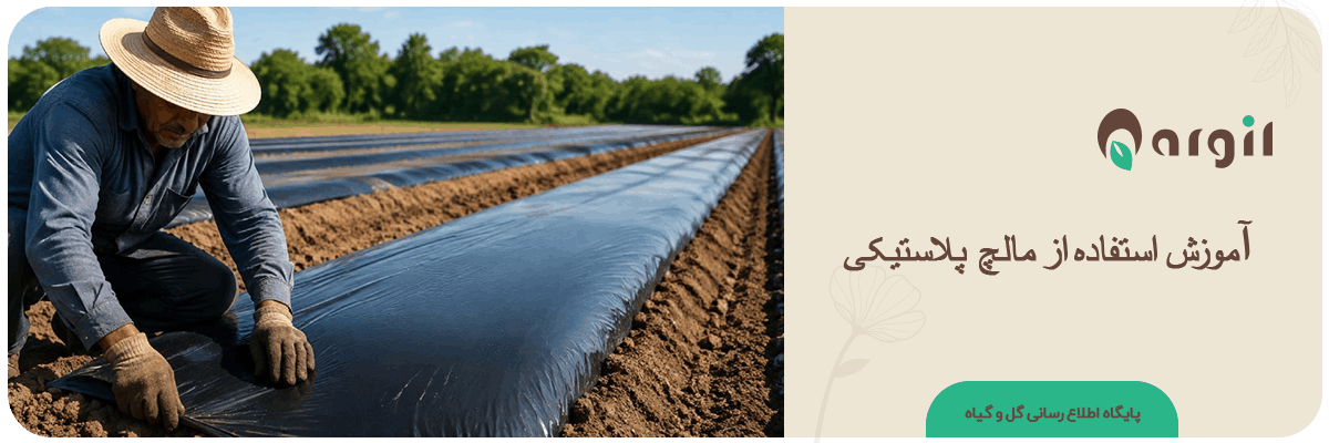 آموزش استفاده از مالچ پلاستیکی | انتخاب رنگ تا نصب درست + اشتباهات رایج