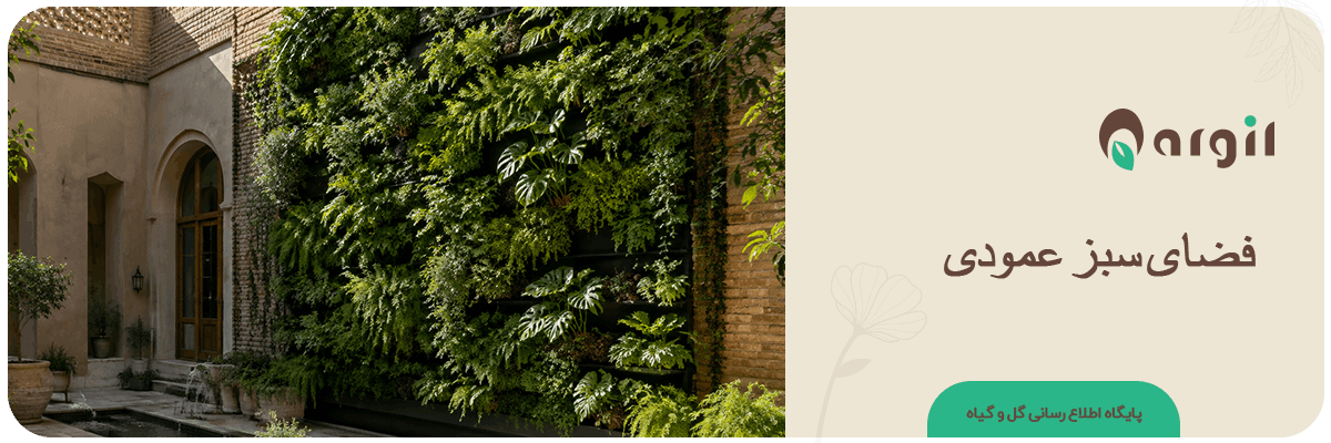 فضای سبز عمودی | راهنمای جامع ساخت دیوار سبز چشمگیر (منزل تا شهر)