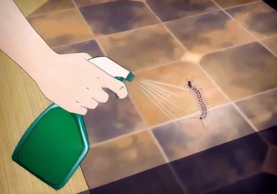 استفاده از حشره کش های هزارپا