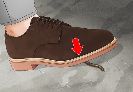 انها را درهنگام دید بکشید