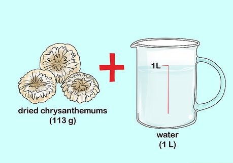 استفاده از گل داوودی