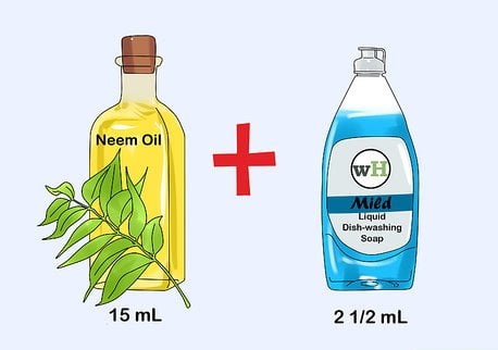 با استفاده ازروغن چریش