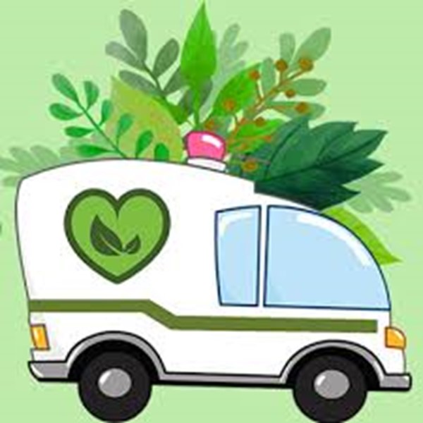 ویزیت گیاهان توسط گیاهپزشک در منزل