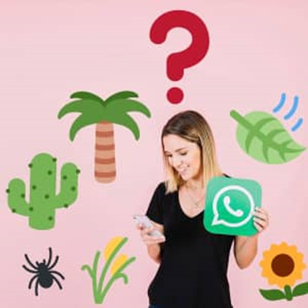 مشاوره با کارشناس گل و گیاه در واتساپ