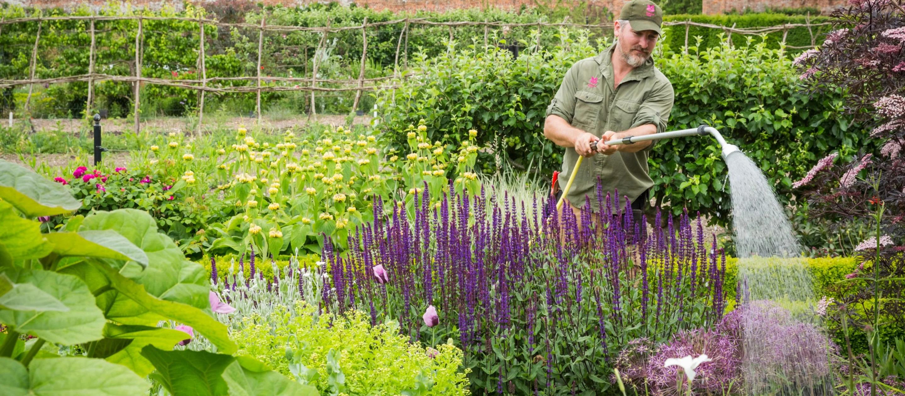 نکات تخصصی برای باغبانی در هوای گرم