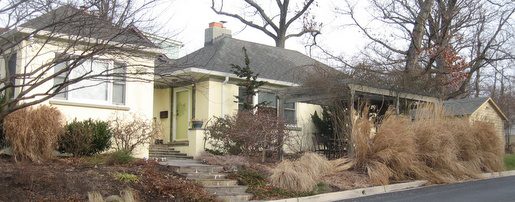 چطور در سرما باغبانی کنیم و تا چه حدی حاضر هستید پایین بروید؟