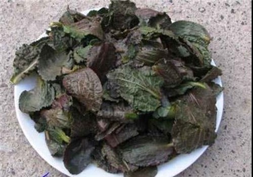 سبزی بهاری نقودشک