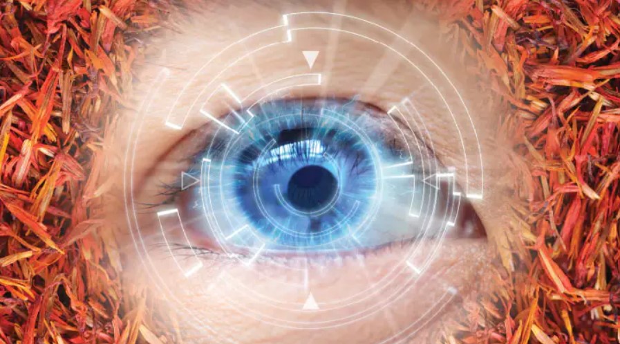 گیاه زعفران محافظ بینایی است