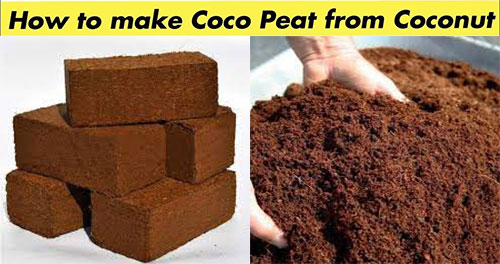 خاک کوکوپیت چیست؟