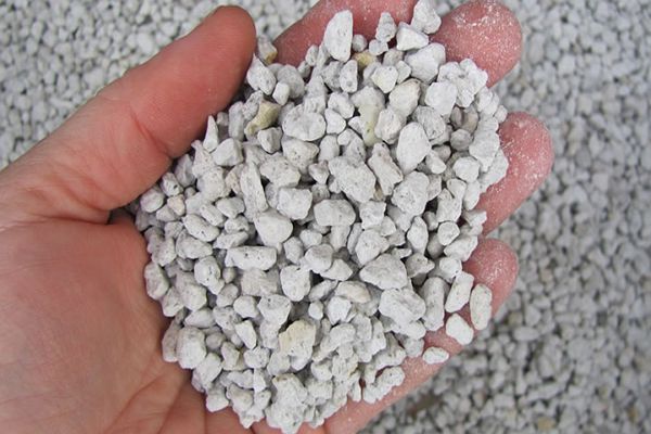 پرلیت پامیسی