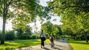 نقش فضای سبز در زندگی انسان ها