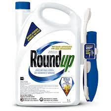 علفکش رانداپ - مکانیسم اثر