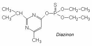 سم دیازینون - عوارض مصرف دیازینون