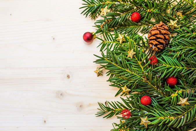 انواع درخت کریسمس طبیعی