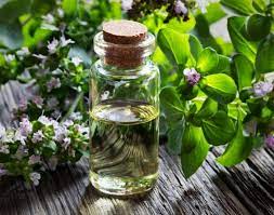 خواص عرقیجات و گیاهان دارویی - عرق پونه