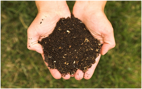 زباله و فاضلاب