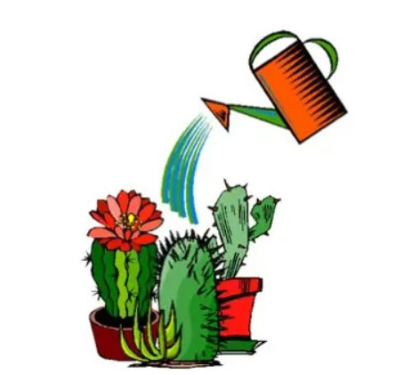 آبیاری کاکتوس ها