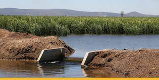 فزایش بهره وری مصرف آب