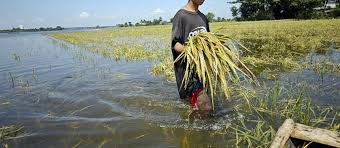 روشهای استفاده آب بهینه توسط کشاورزان