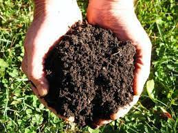 مواد آلی خاک