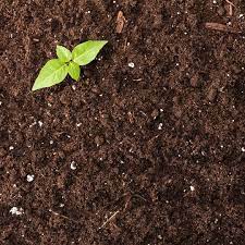 مواد آلی خاک - هوموس