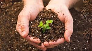 شاخص های زیستی - شاخص ترکیب گیاهی