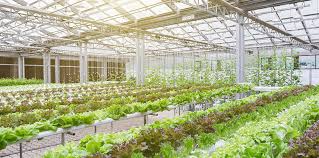 برنامه ریزی جهت کشت بذر