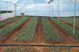 هزینه ۴۰% پائین‌تر