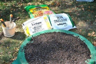 خاک گلدان بهتر است یا خاک سطحی