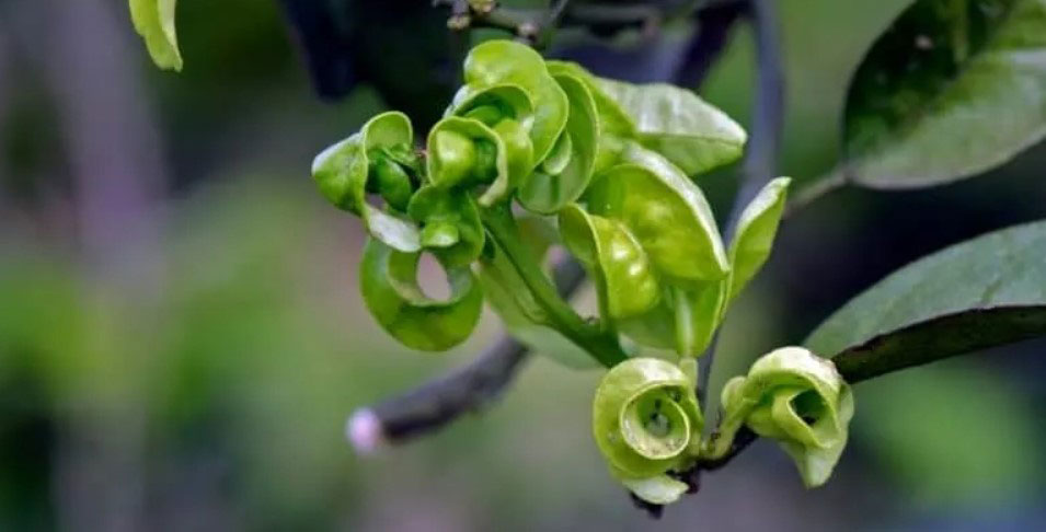 مشکلات محیطی