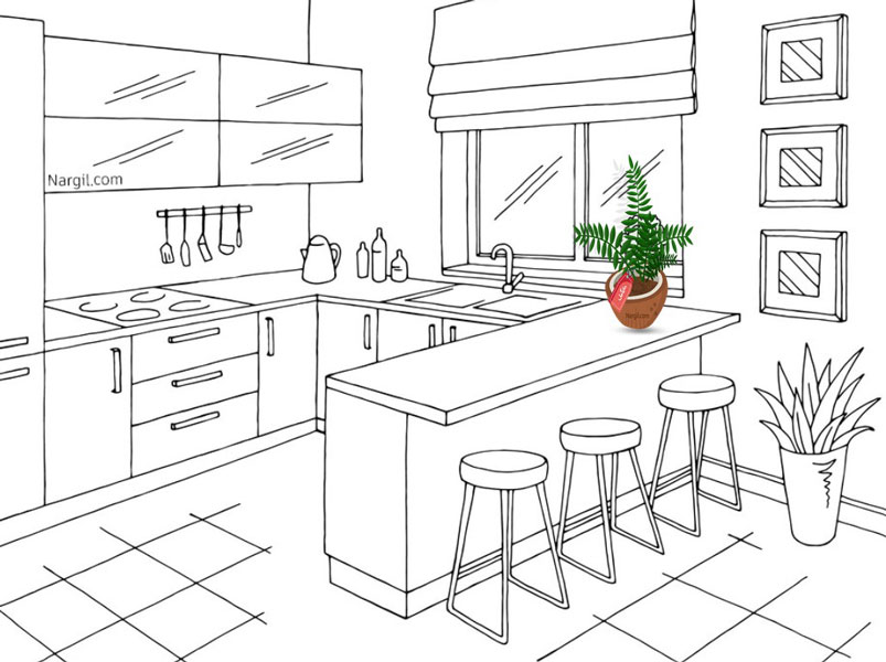 قرار دادن گیاه آپارتمانی در آشپزخانه