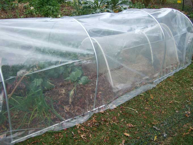 محافظت از سرمازدگی در گیاهان گیاهانی را انتخاب کنید که مناسب آب و هوای منطقه شما باشد