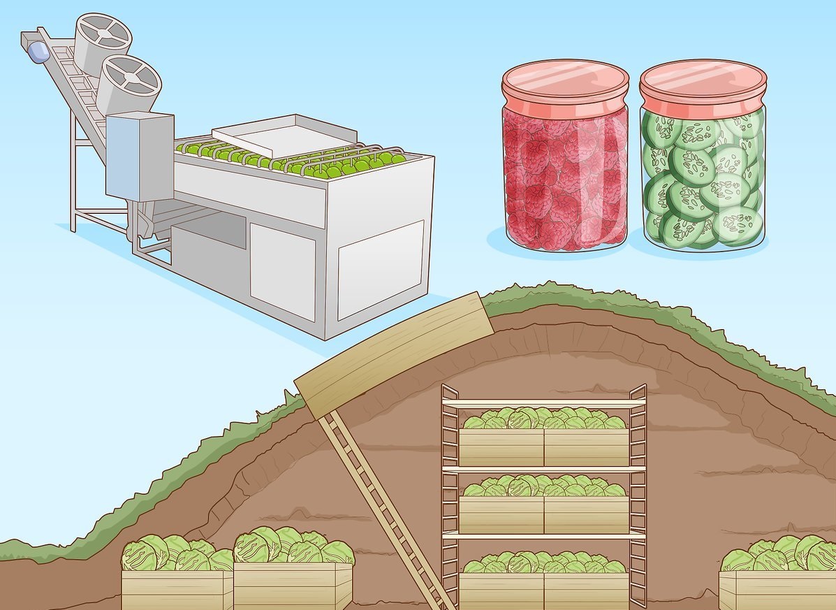 محافظت از مواد غذایی