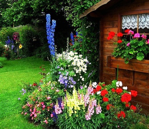 باغبانی در باغچه خانه-باغ گل