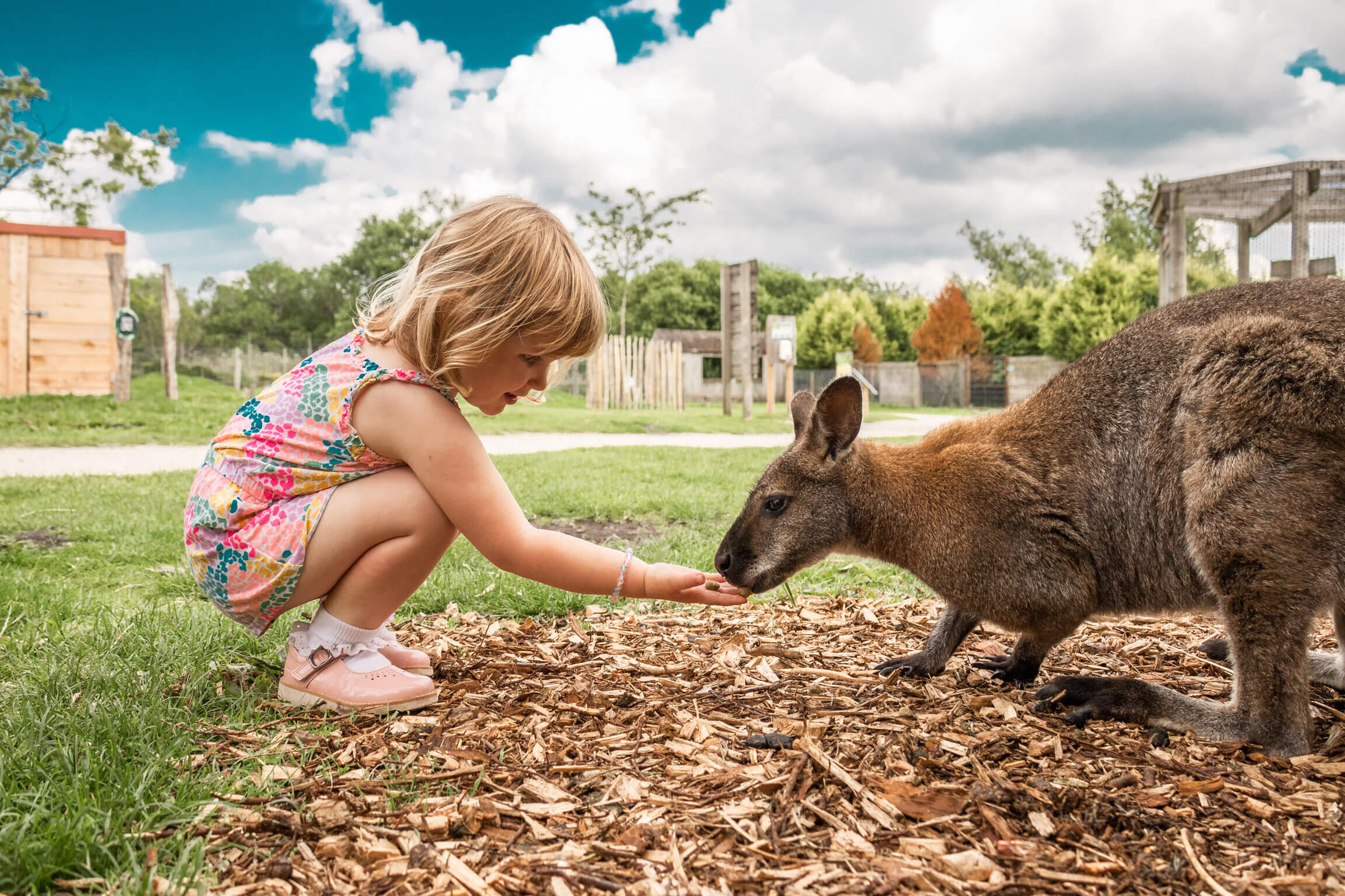 باغ حیات وحش